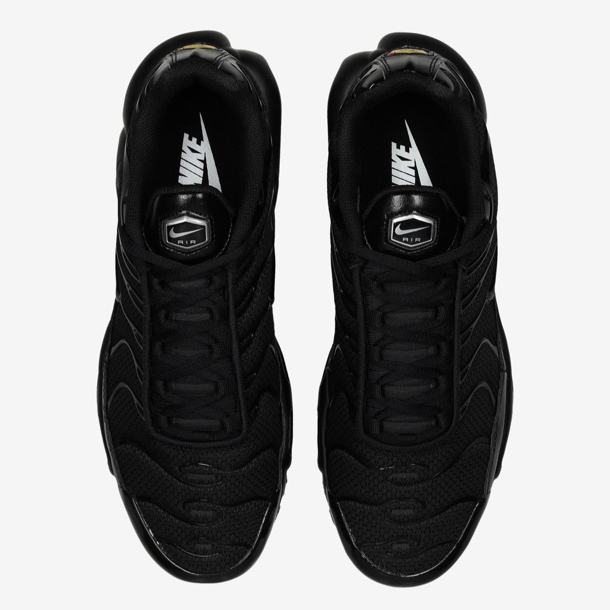 TN noir